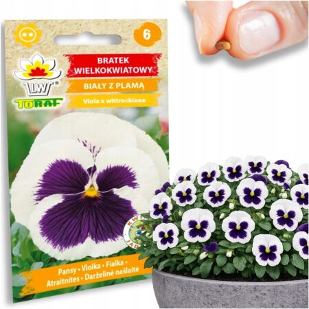 4d79f6c931f5358df9690c538aa3968a