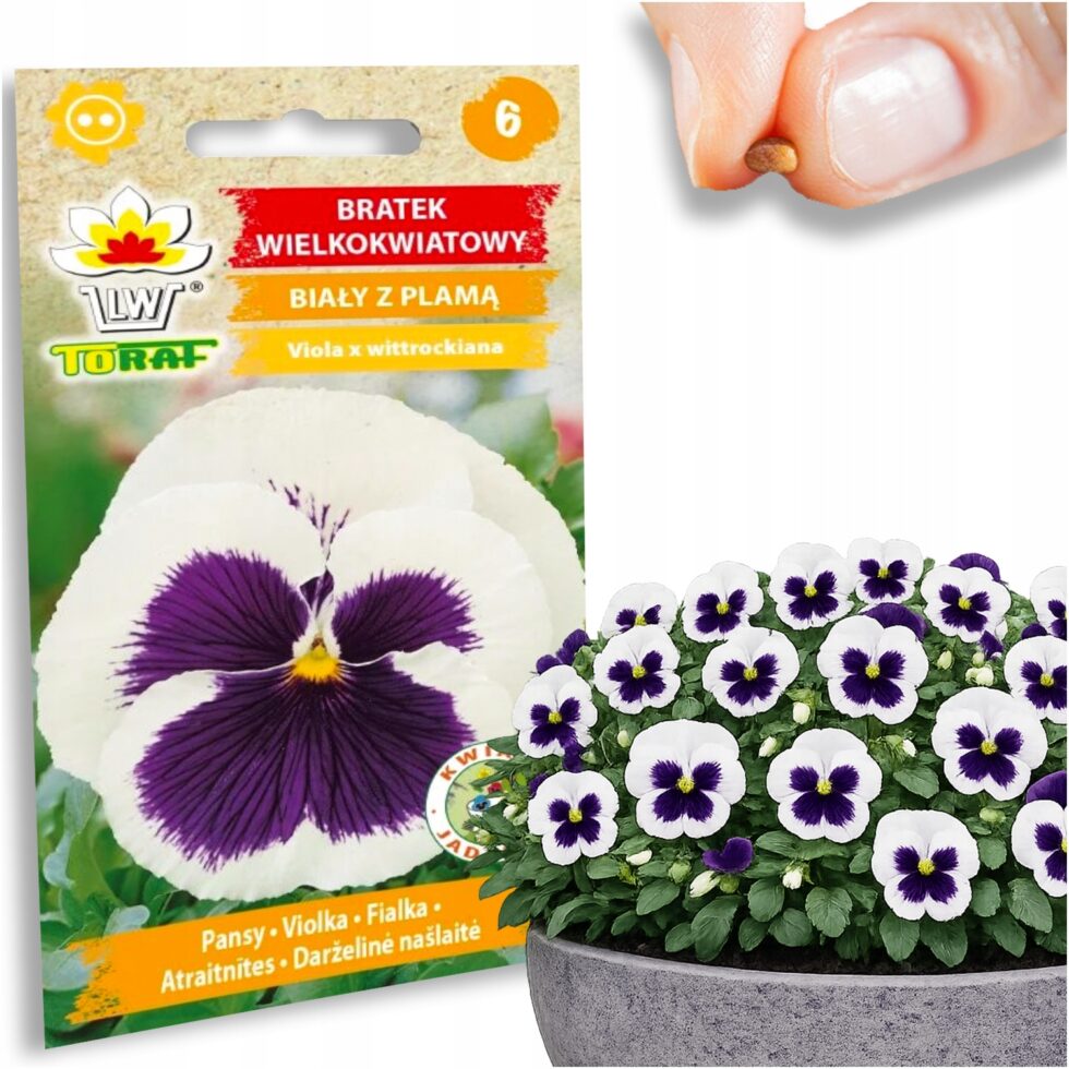 4d79f6c931f5358df9690c538aa3968a