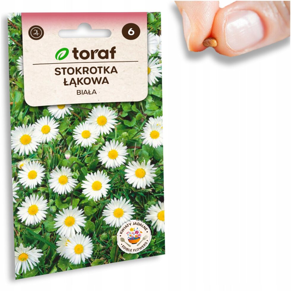 2fbaadc949d942d59eea0bee3a24b79f