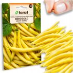 cf27b238a9306b7e41cec7bcd504a7e9