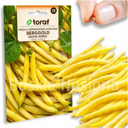 cf27b238a9306b7e41cec7bcd504a7e9