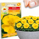 1c5d228f22cee472c2f0ea694c62dd68