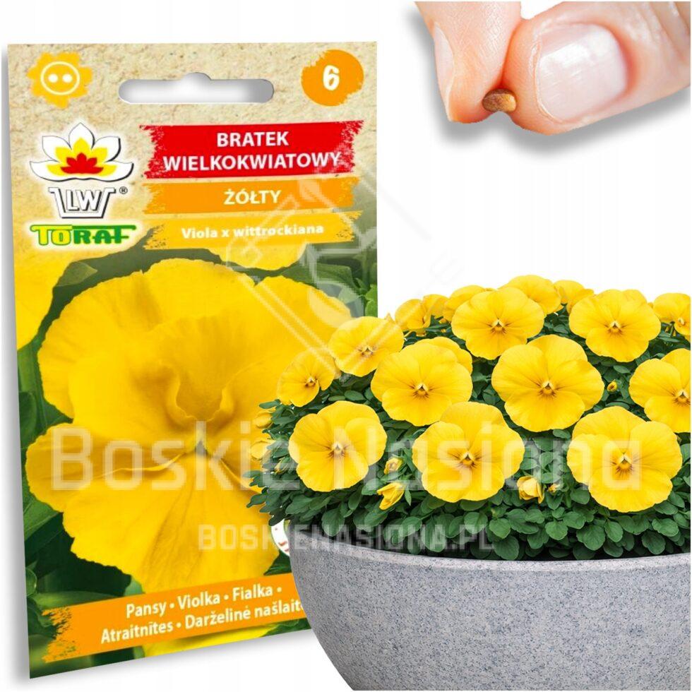 1c5d228f22cee472c2f0ea694c62dd68