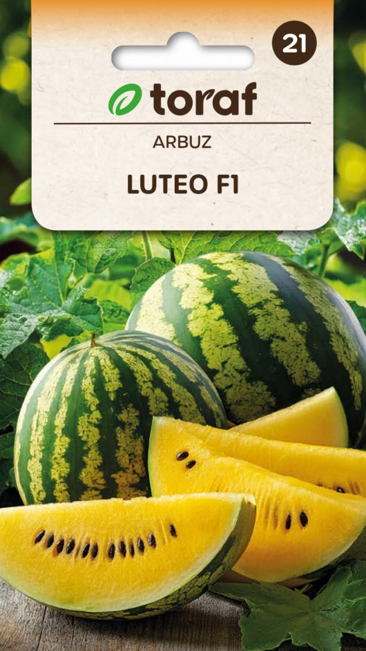 f702f0f966279348a84795f561d86d23