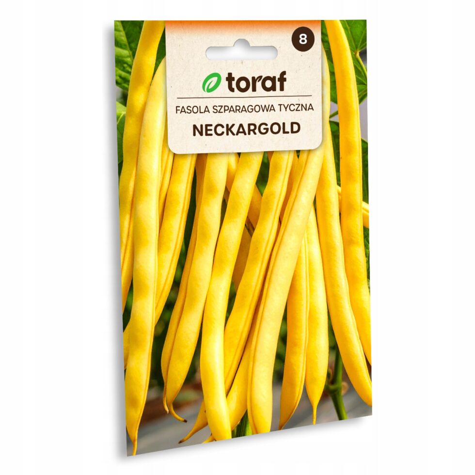 23268df78545972874b2035a60d7b862