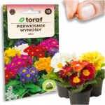 e05257e9c060603de3c403d865aa30d6