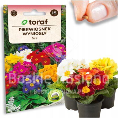 e05257e9c060603de3c403d865aa30d6