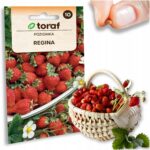 6a40d321f4f504e444e23eb20ac2c0d4