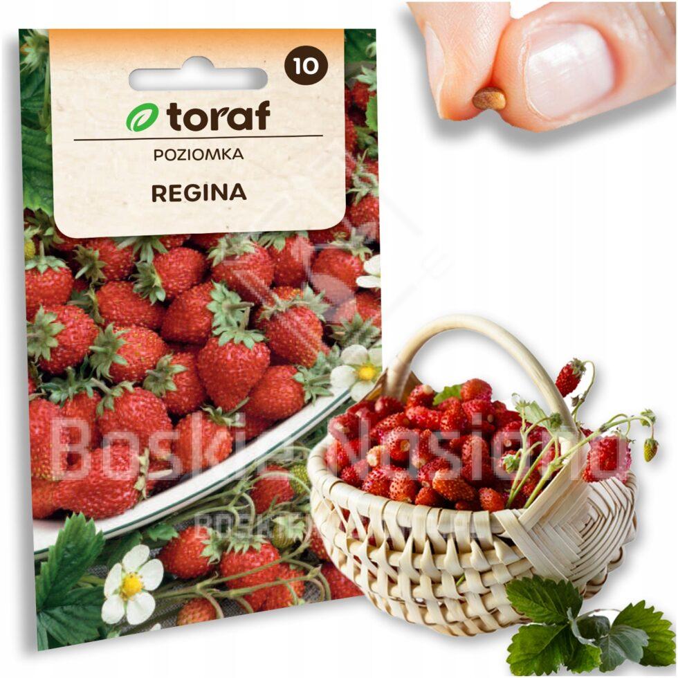 6a40d321f4f504e444e23eb20ac2c0d4