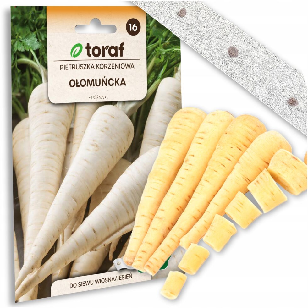 54583c7c4ece8c1c275c6d551ecbd8a1