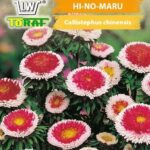 635792f13c6f92ad554844de7669e448