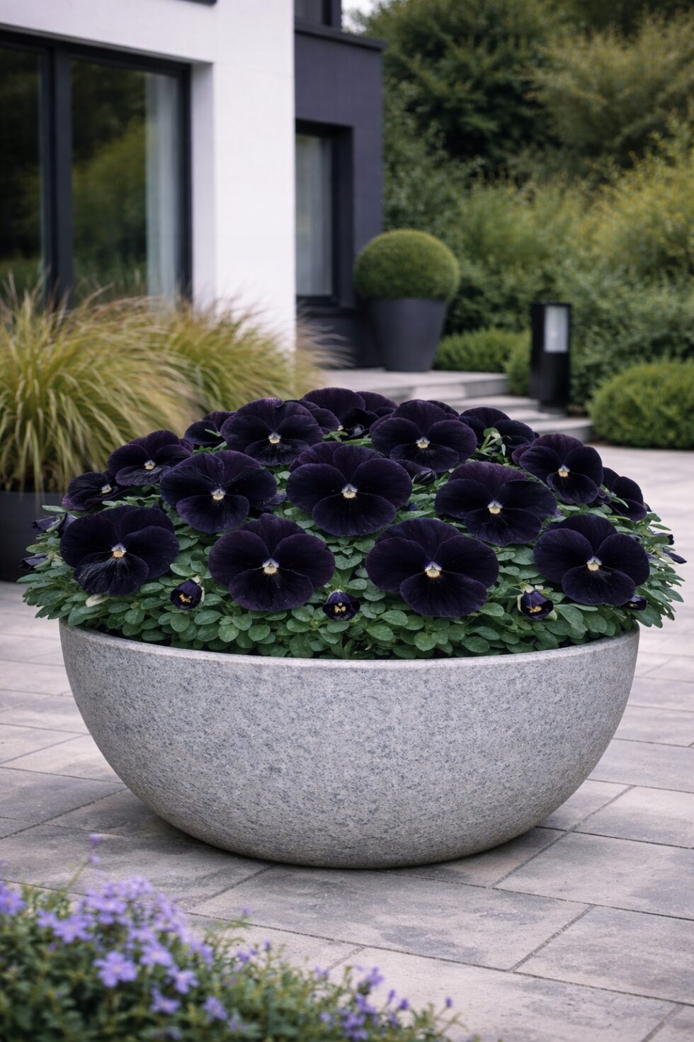 65810a242f86ec8d61f54c7bae3711bf