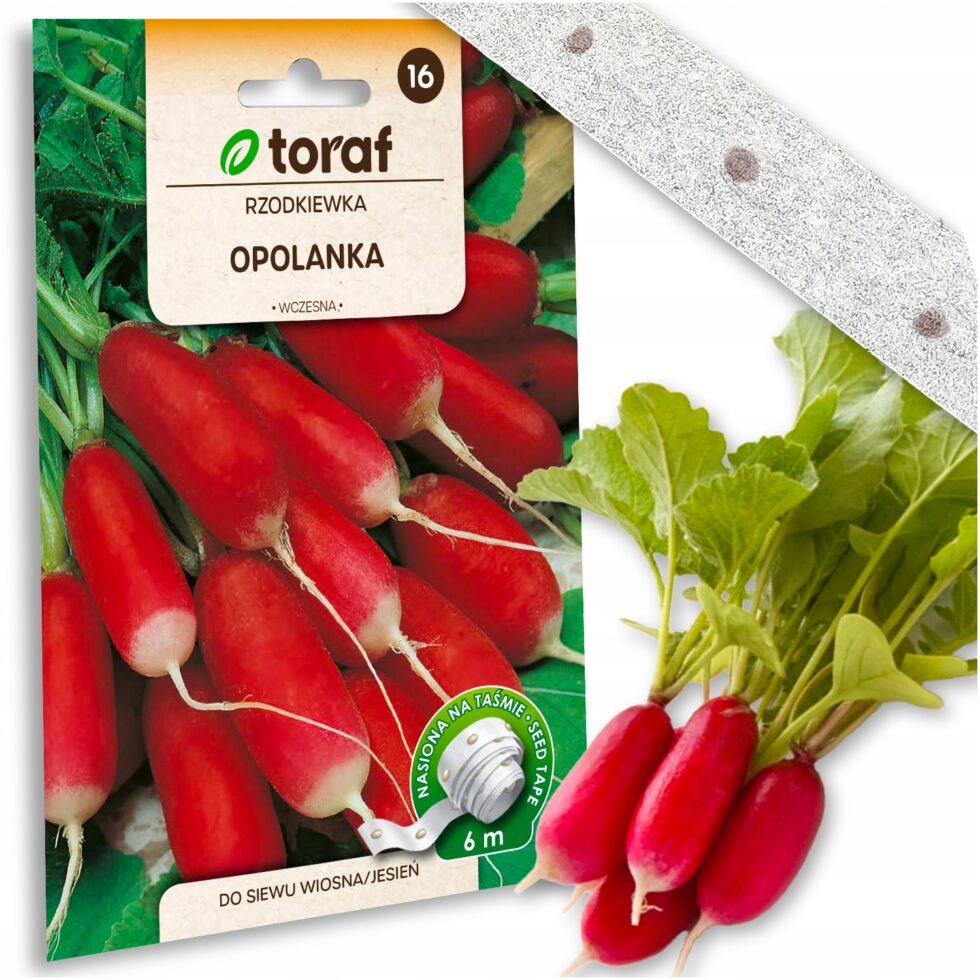 affe64797477d551f3b891efd260ca93