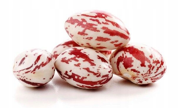 0a316fea0e39b5333f488ca19d95f7bf