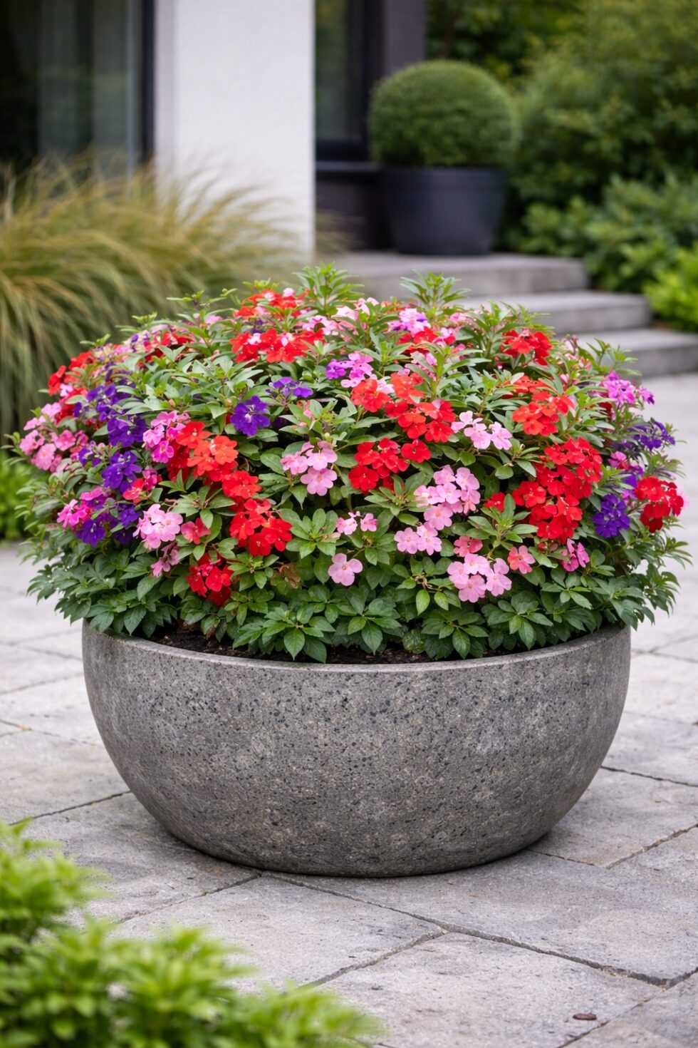 01c4b8ec824ddf9ef98bf0de37c4ad6d