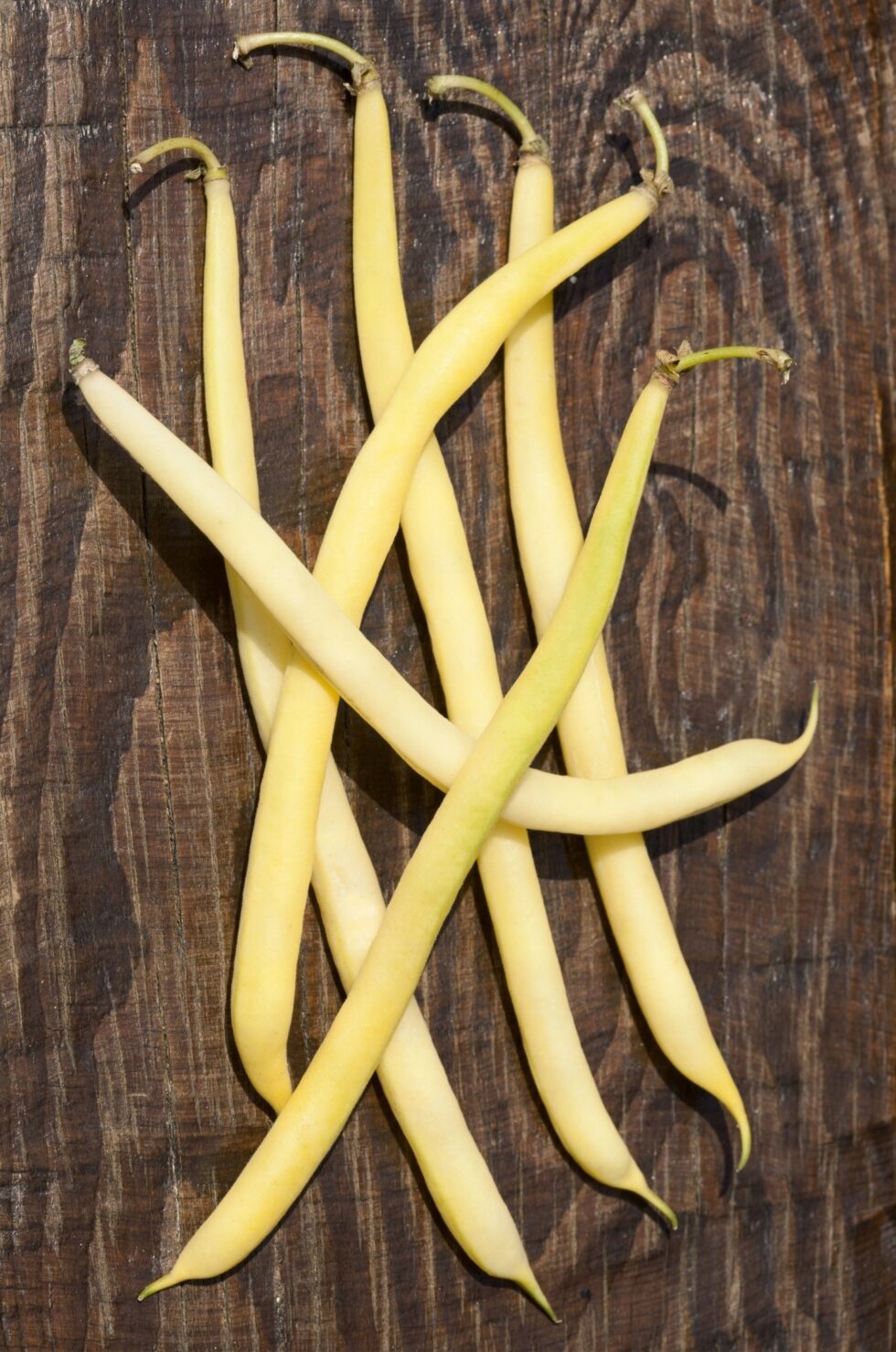 40a576e12b27ca47dd3f2af9bbcdb572