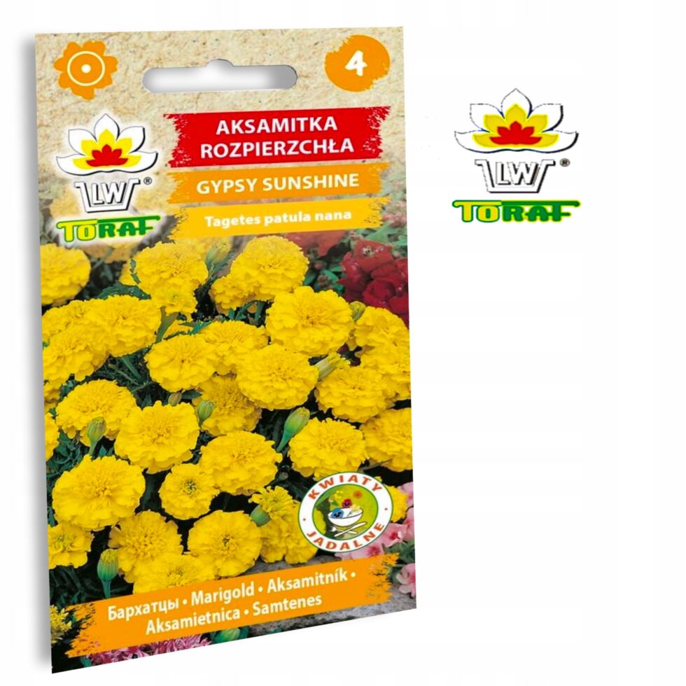 e10b0d9ce7e553a961b50bb823372601