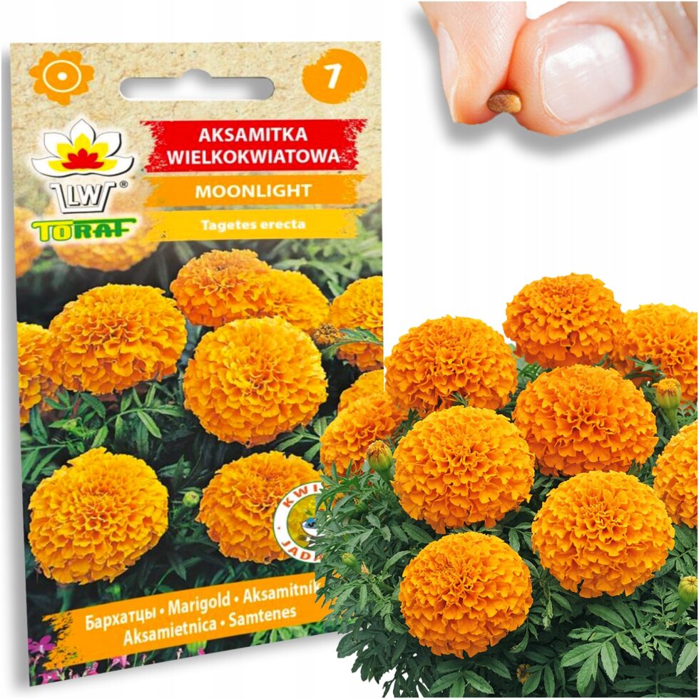 d2af718a8d011d84b565191099e3c050