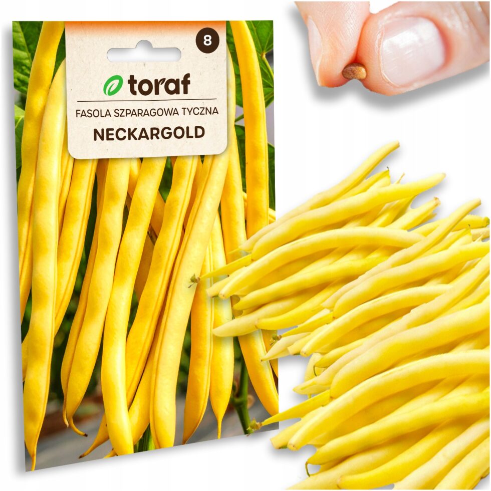 5831c2dc2135afa80ebf59f4d9acbf44