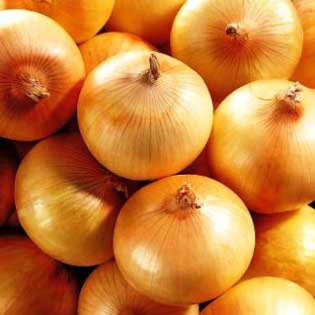 5bca65fb7ad90345776a908df2e446cb