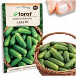 86331f04881079c0cd58c4dfb5267149