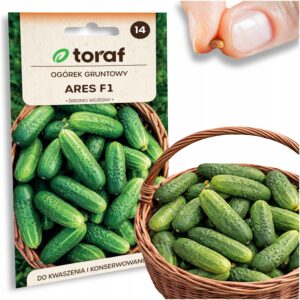 86331f04881079c0cd58c4dfb5267149