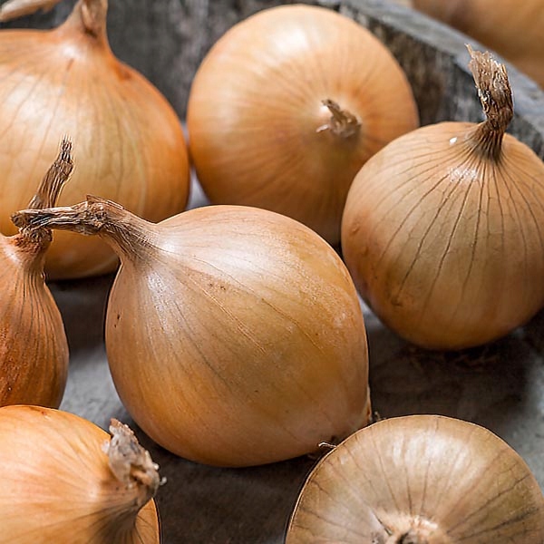 3d837329ec51107fba5cca50729f3279