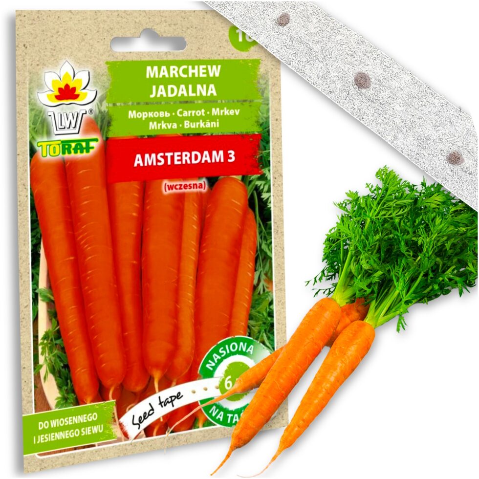 d27e38a964adfbc93fca2cd876e83d97