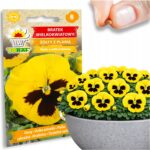 5ae5e3203679200ea5b182cf63a30e8d