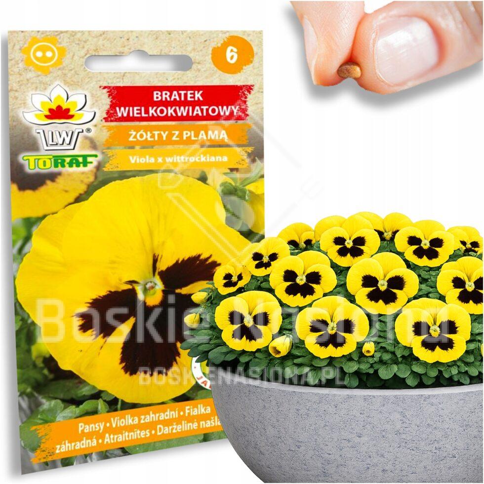 5ae5e3203679200ea5b182cf63a30e8d