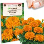 4a301cc8118b3a65af77f49c7dafbbf8