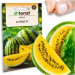 d519b81268c92d10d06b1562994b51e2