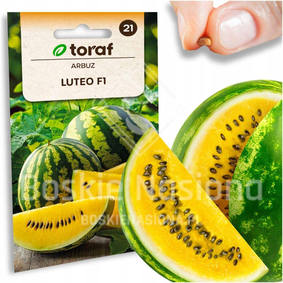 d519b81268c92d10d06b1562994b51e2