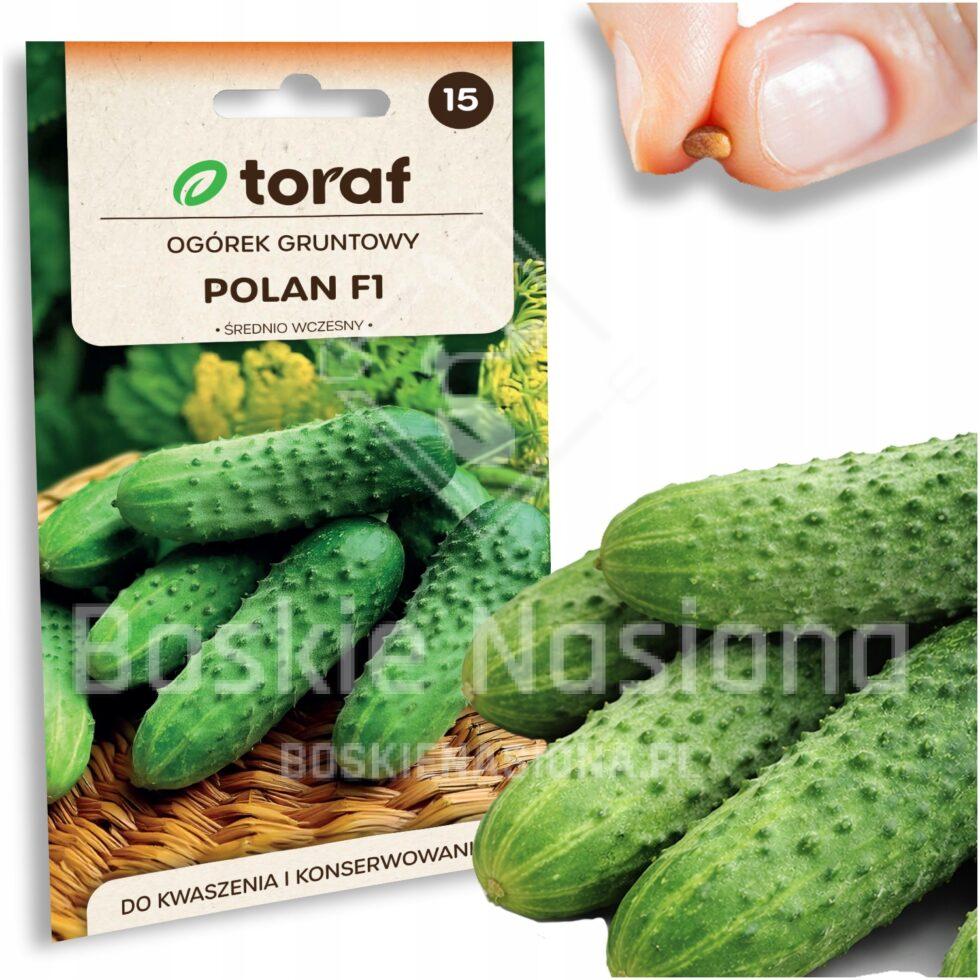 ca80da314bc5e2420ba894465386f40f