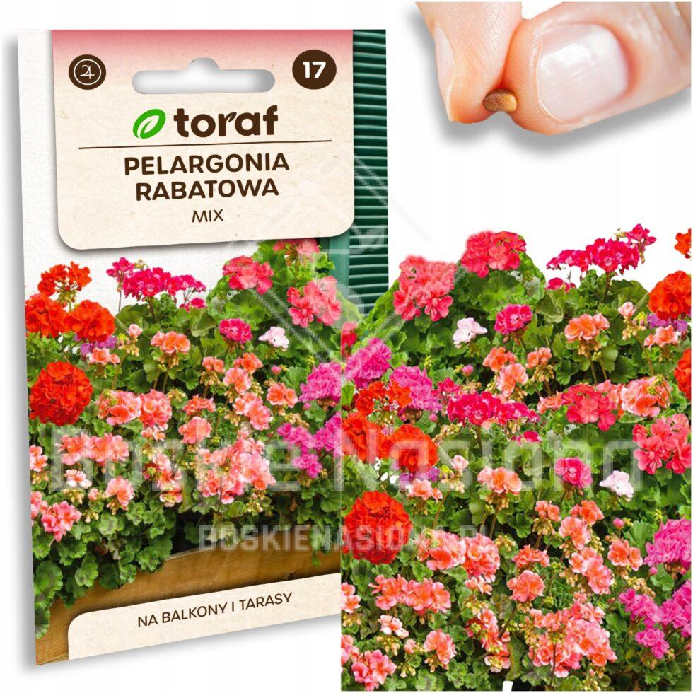 505baa0b13f1d17caa82013e779d0f87