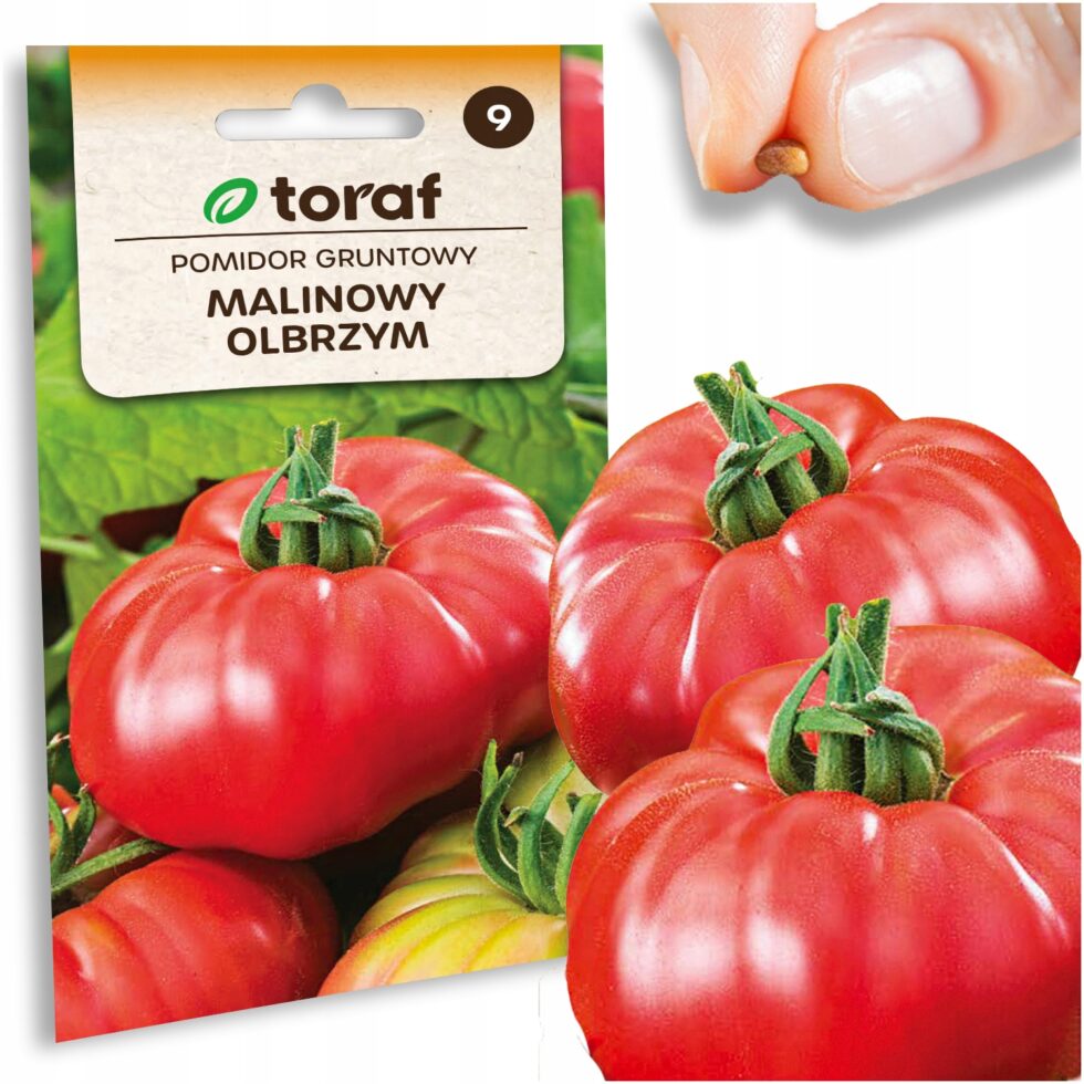 be577966868155f7d3f3aa0dcb28cd28