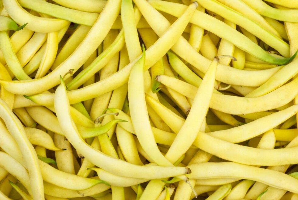 58df9825ae23b3e7a39fd817a6ae0b27