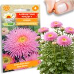 1e94e1b6acb3f3cacaf0c513c7725654