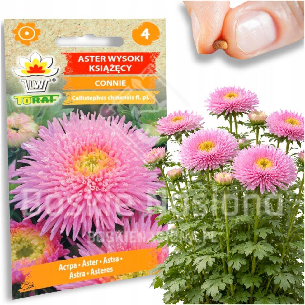 1e94e1b6acb3f3cacaf0c513c7725654