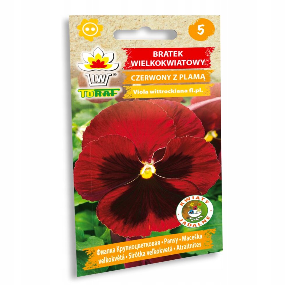 2c6ebdc79644c1bcb3b2d0caecc372c1