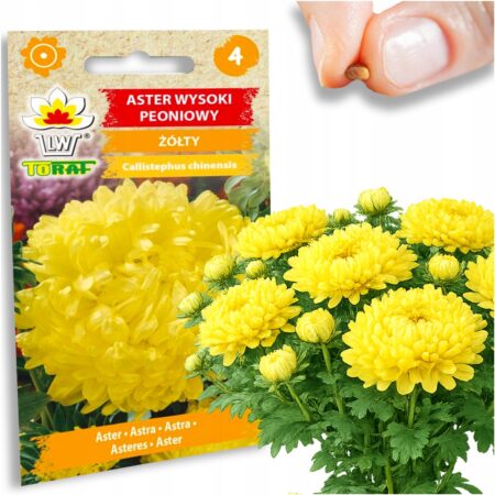 7a583bae8ffbf6126ede8b0483affe58