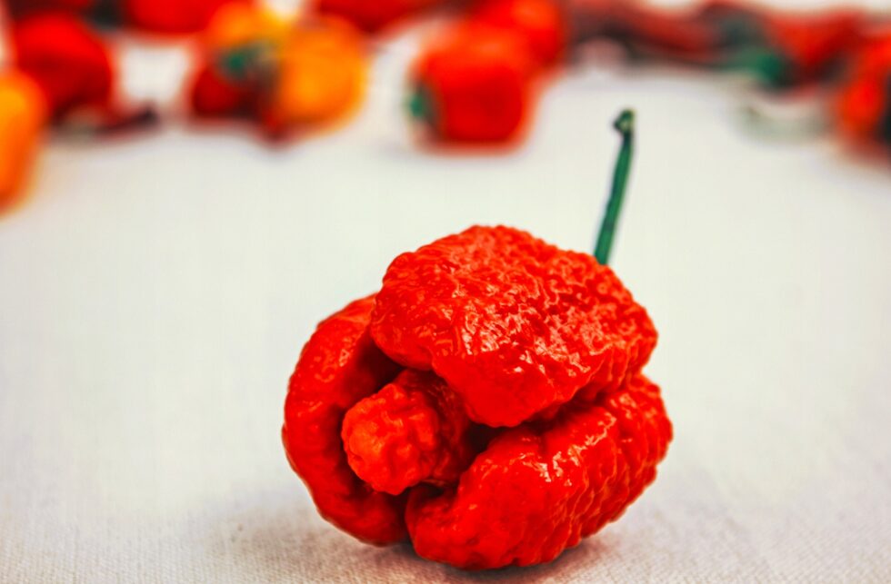 e5ad518b7745e9552ee0fa659ac6ac96