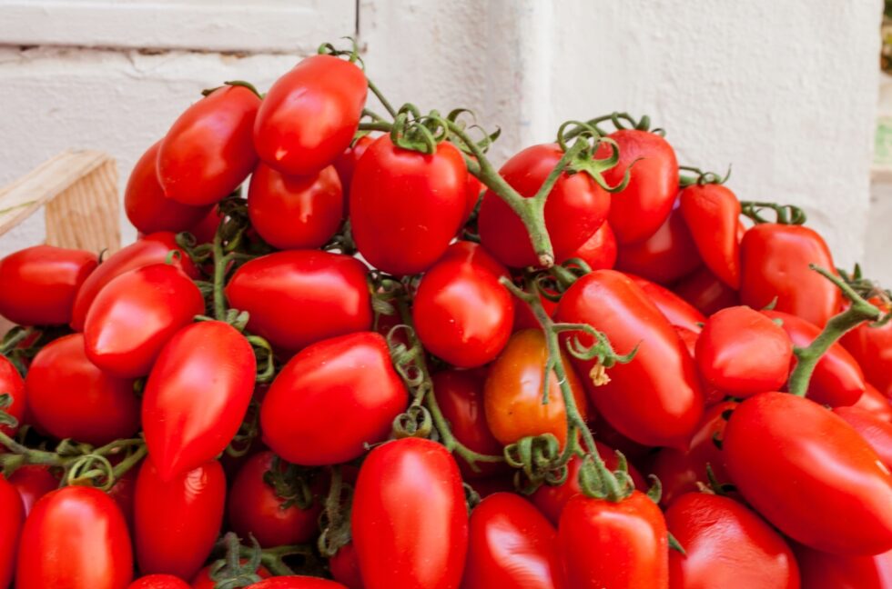 b7fd7a999dfed792b035d9db9cee328b