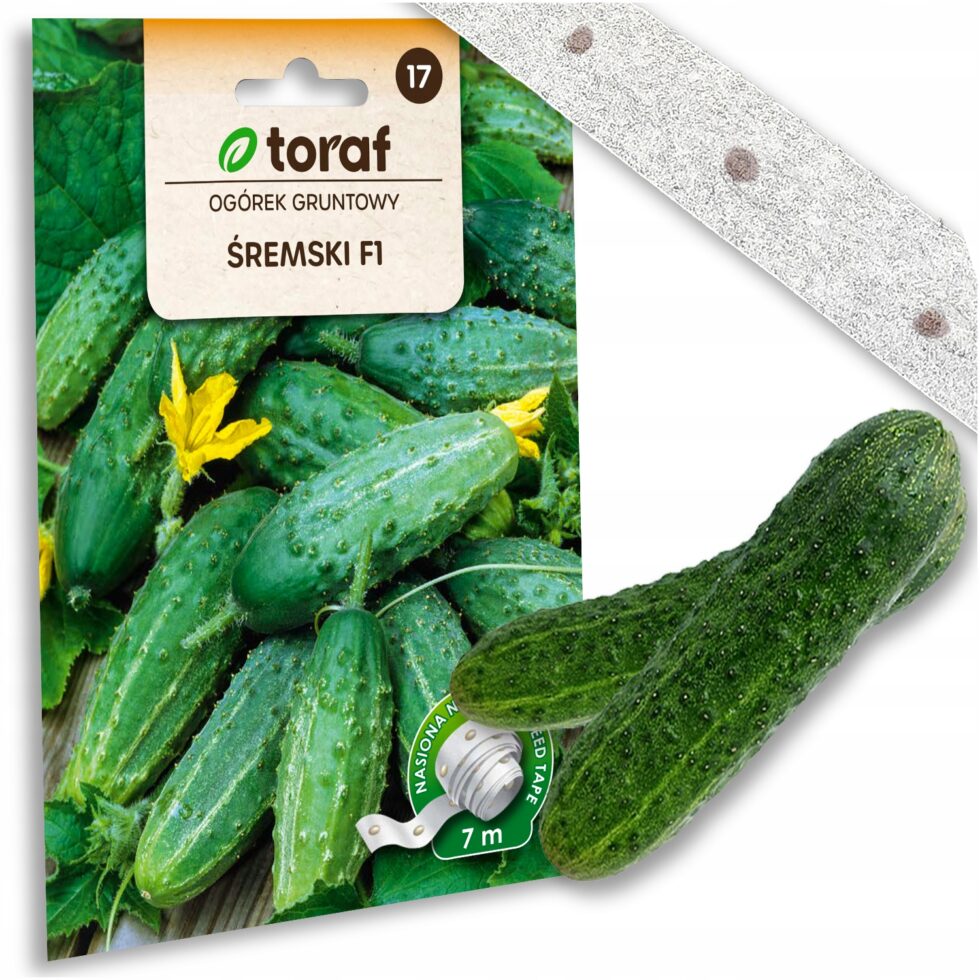 ece58af92042c8638a510e22515554d5