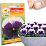 af104bc57d855dfcc1d9486fcab6bbda