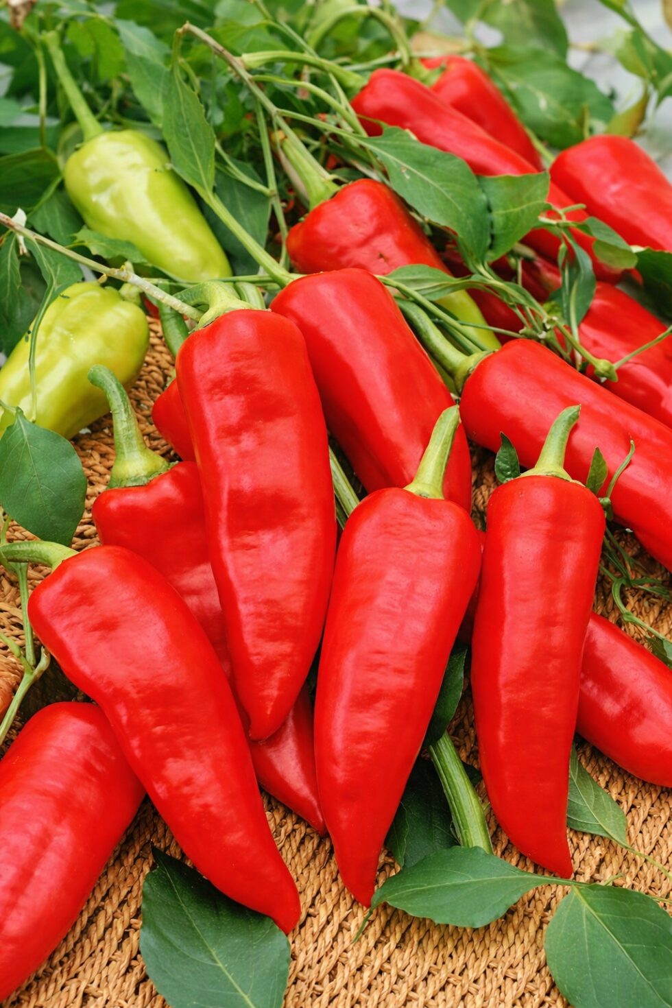 4daaa959d02f5cb95cf5be3b80fb154b