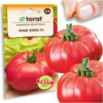 cf08f5787e6f87d74404f90b55de8056