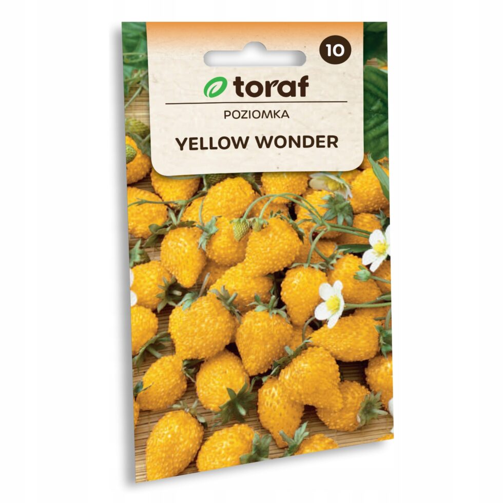 e90253adeb219d274595ae9c7a7db740