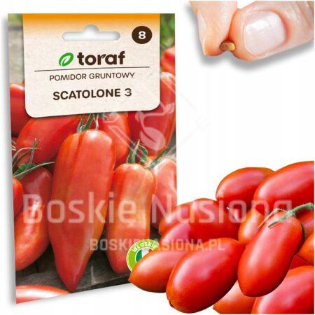 57aa010e37712f4b79c75fc25a532e41