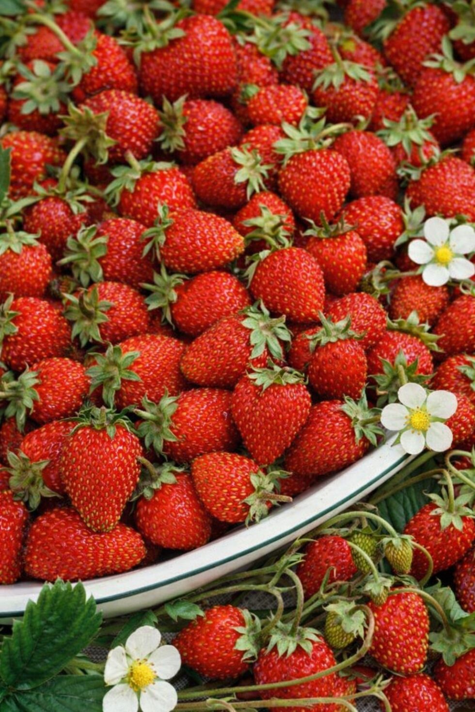 559cca90094d4d700ccc4b2f13d53f21